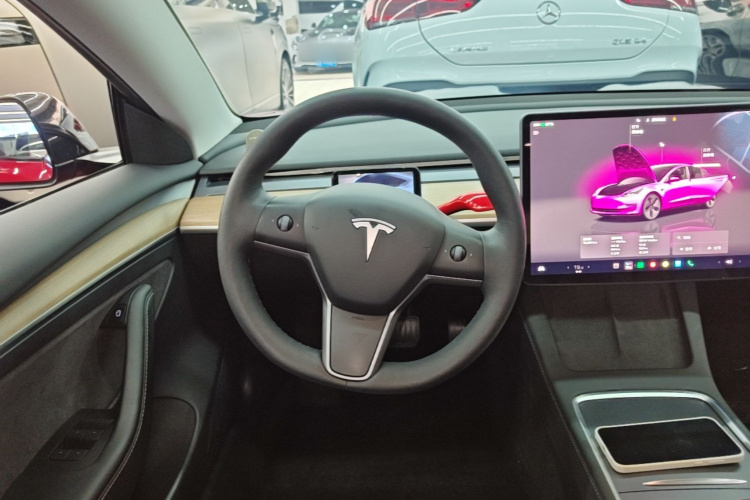 Tesla Model 3 2022 car image #11