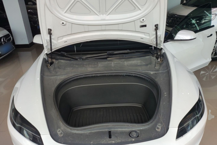 Tesla Model 3 2023 car image #20
