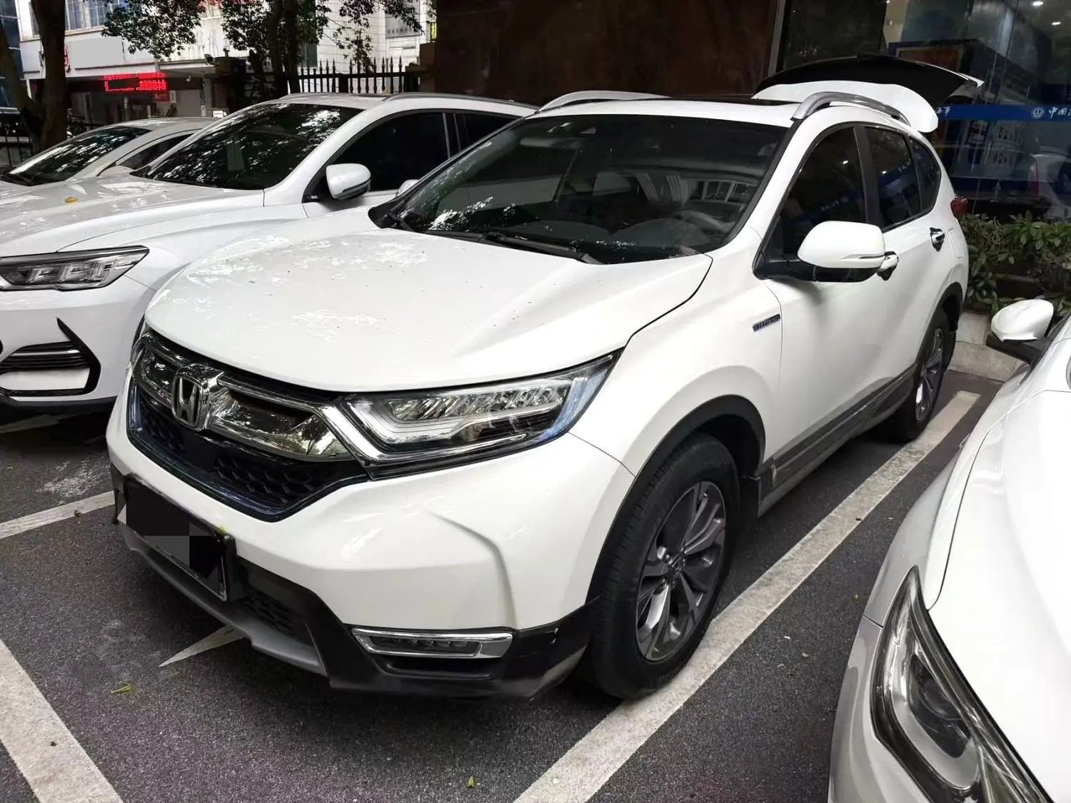 Honda CR-V 2019 Honda CR-V 2019 immagine di auto