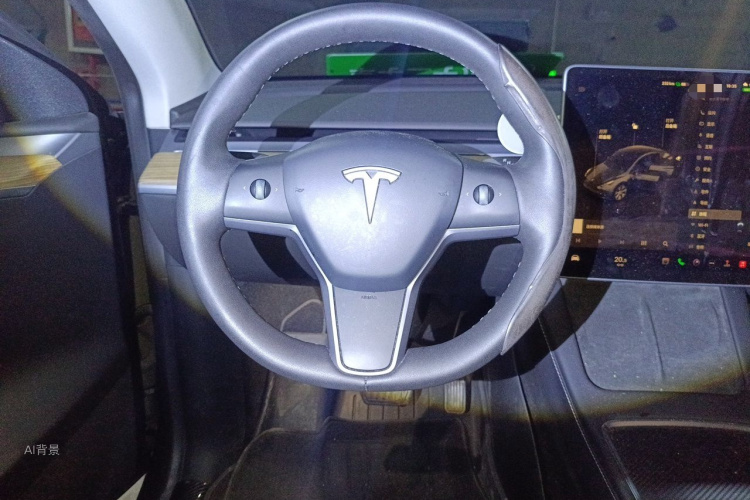 Tesla Model Y 2022 car image #12