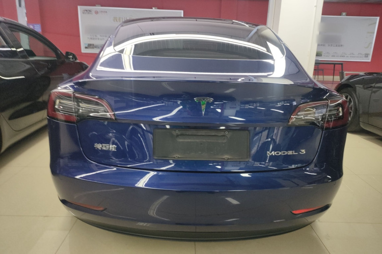 Tesla Model 3 2020 immagine di auto #6