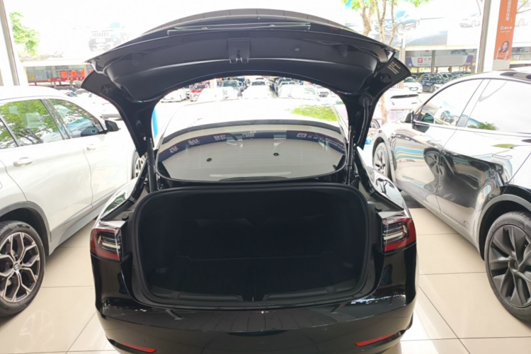 Tesla Model 3 2023 car image #29