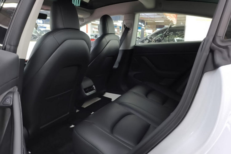 Tesla Model 3 2021 #17 Tesla Model 3 2021 car image #17