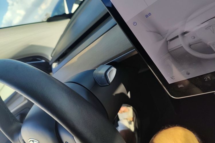 Tesla Model Y 2021 #14 Tesla Model Y 2021 car image #14
