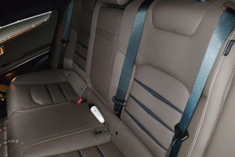 BYD Han 2022 car image #19