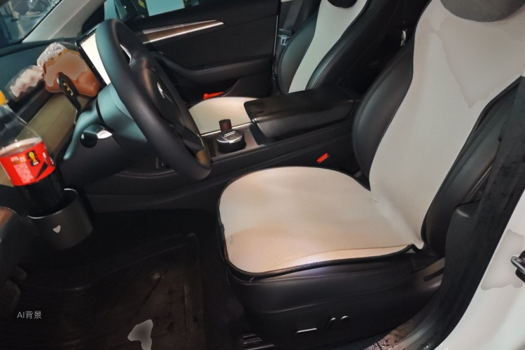 Tesla Model 3 2022 #17 Tesla Model 3 2022 car image #17