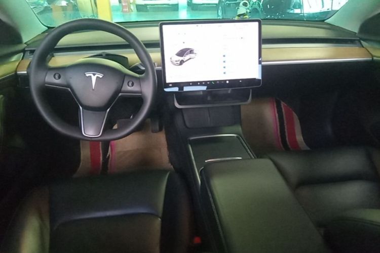 Tesla Model 3 2021 car image #10