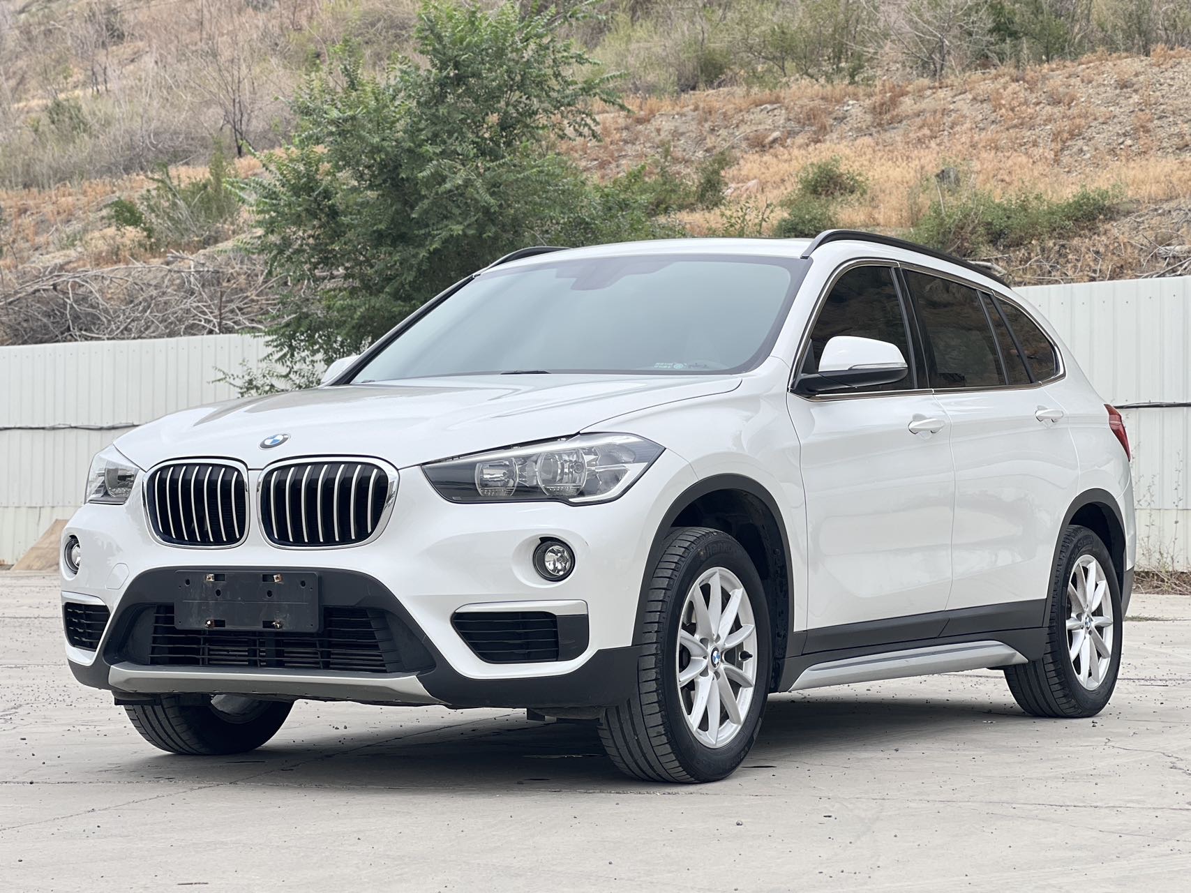 BMW X1 2019 car image 