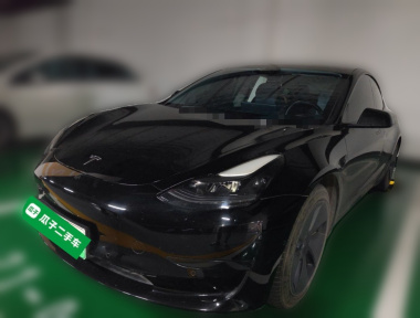 Tesla Model 3 2021 immagine di auto 