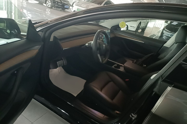 Tesla Model 3 2021 car image #16