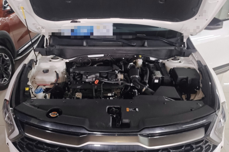 起亚 狮铂拓界 2022 汽车图片 #20