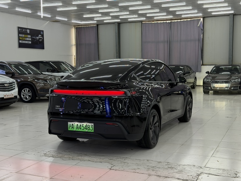 Tesla Model Y 2025 car image #6