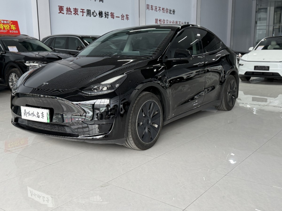 Tesla Model Y 2024 car image 