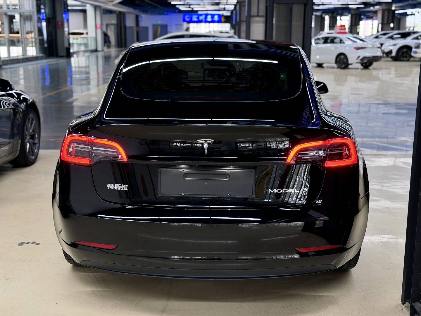Tesla Model 3 2021 #7 Tesla Model 3 2021 car image #7