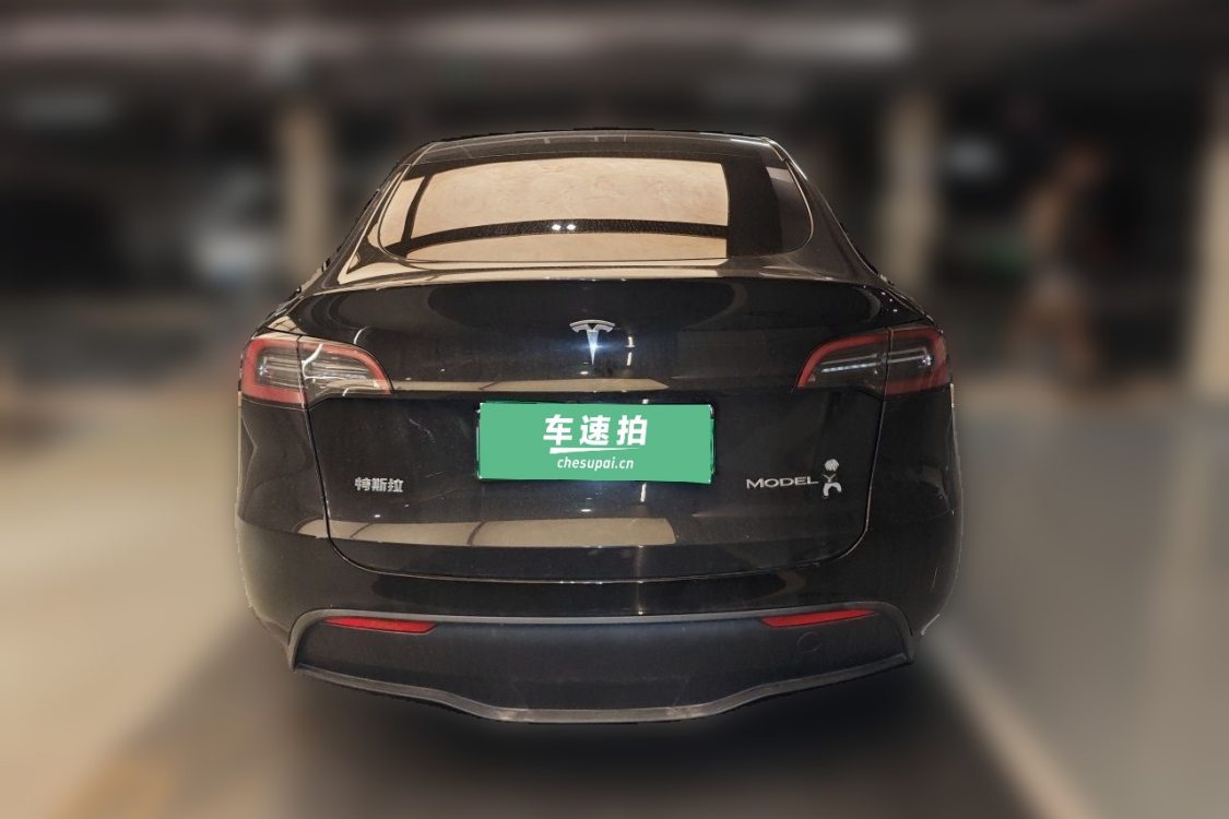 Tesla Model Y 2024 car image #6