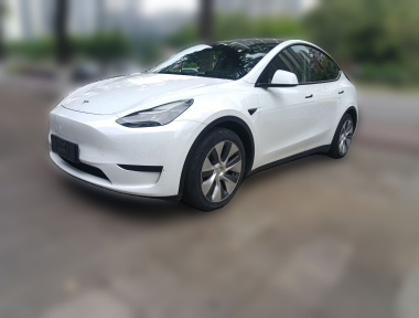Tesla Model Y 2022 Tesla Model Y 2022 car image