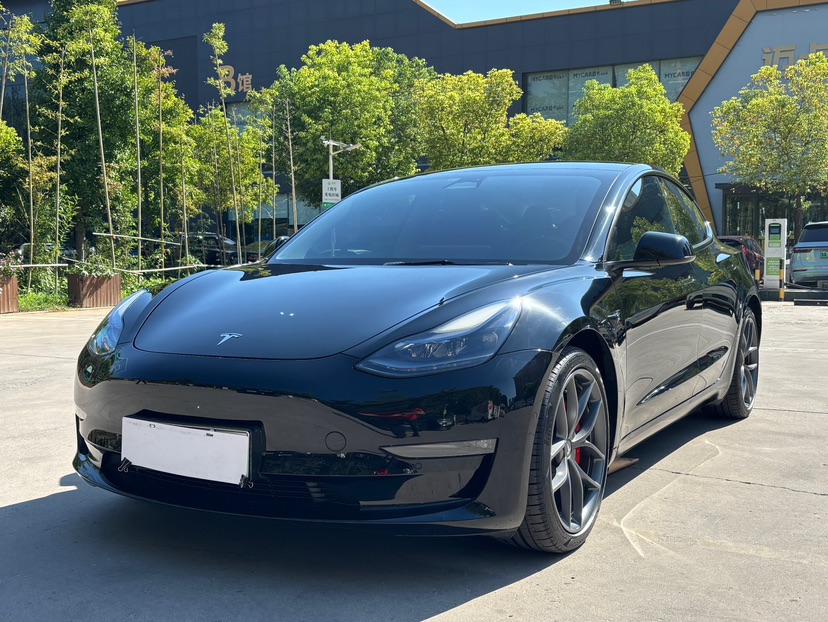 Tesla Model 3 2022 Tesla Model 3 2022 car image