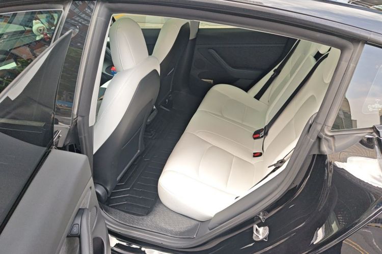 Tesla Model 3 2021 car image #14