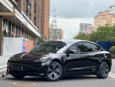 Tesla Model 3 2021 immagine di auto 