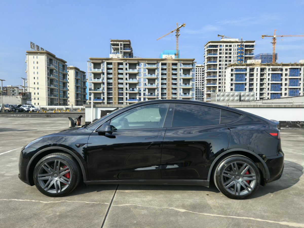 Tesla Model Y 2024 car image #3