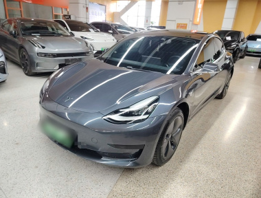 Tesla Model 3 2020 car image 