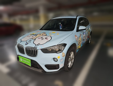 BMW X1 2019 car image 