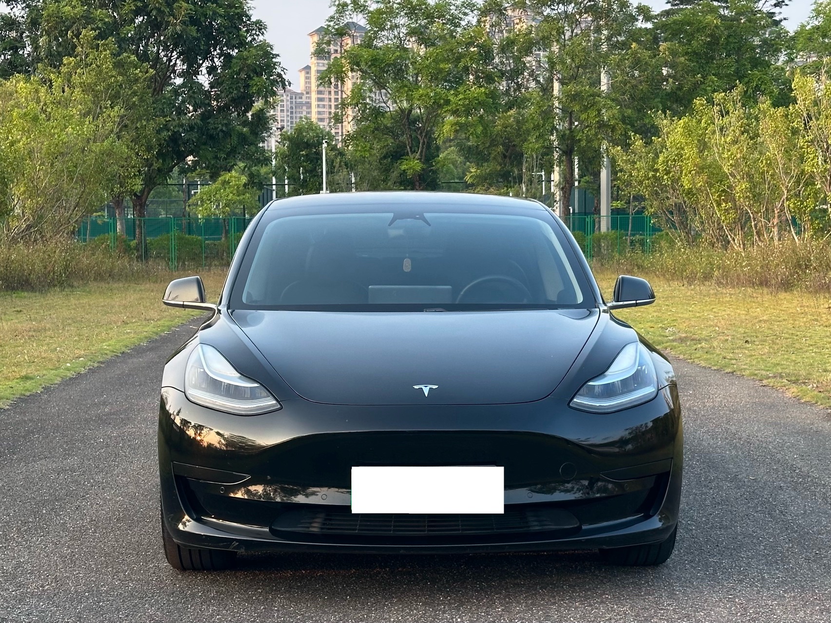 Tesla Model 3 2020 car image #2