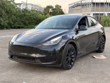 Tesla Model Y 2022 Tesla Model Y 2022 car image