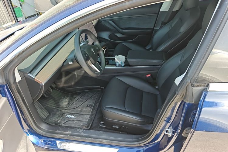 Tesla Model 3 2020 car image #15