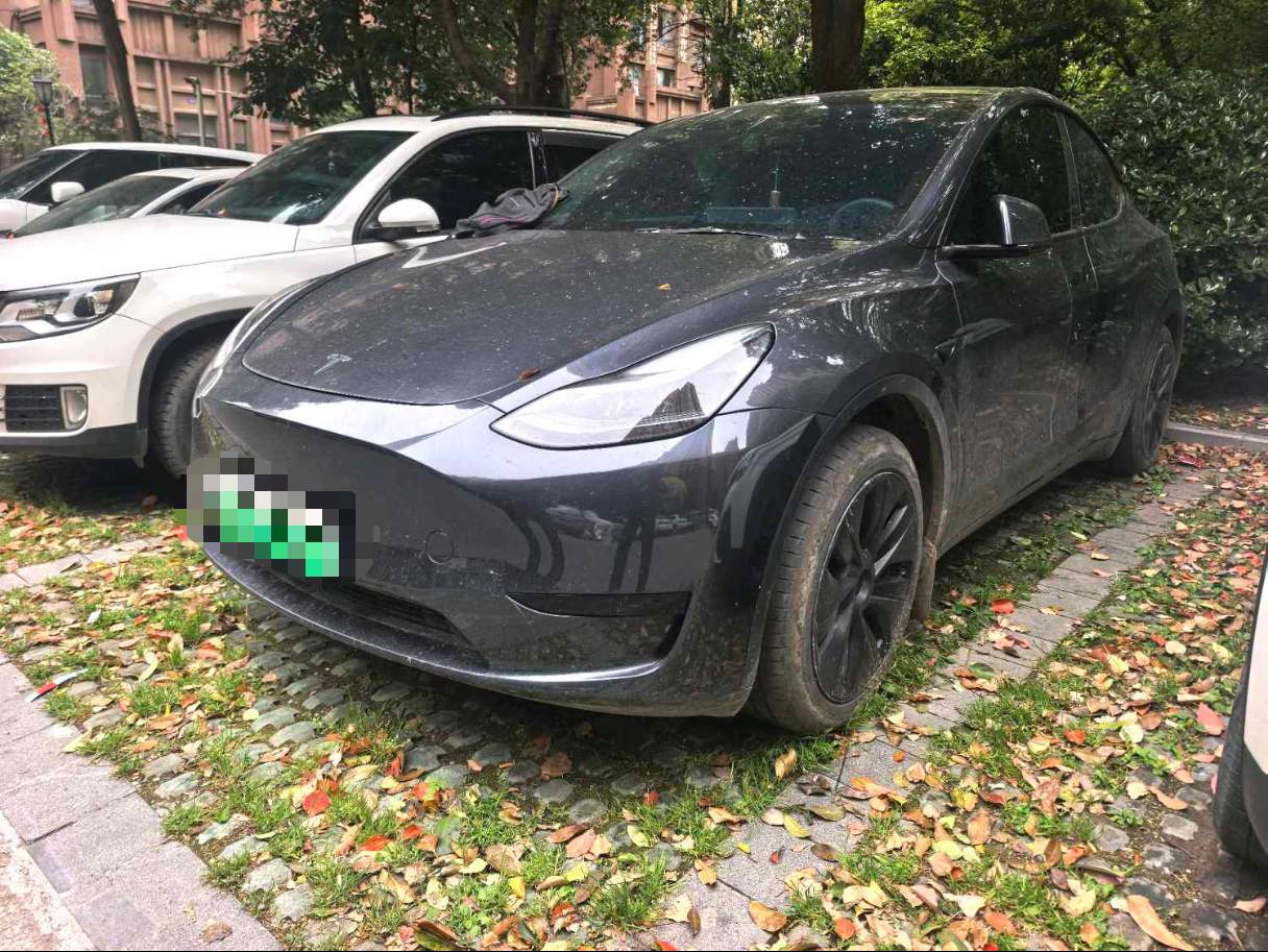 Tesla Model Y 2024 car image 