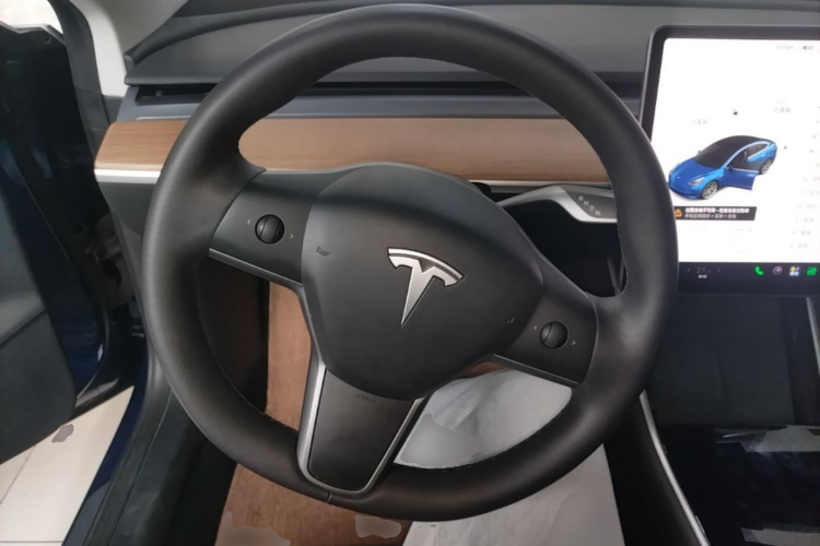 Tesla Model 3 2020 car image #11