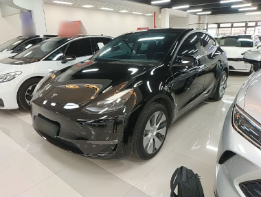 Tesla Model Y 2023 Tesla Model Y 2023 car image