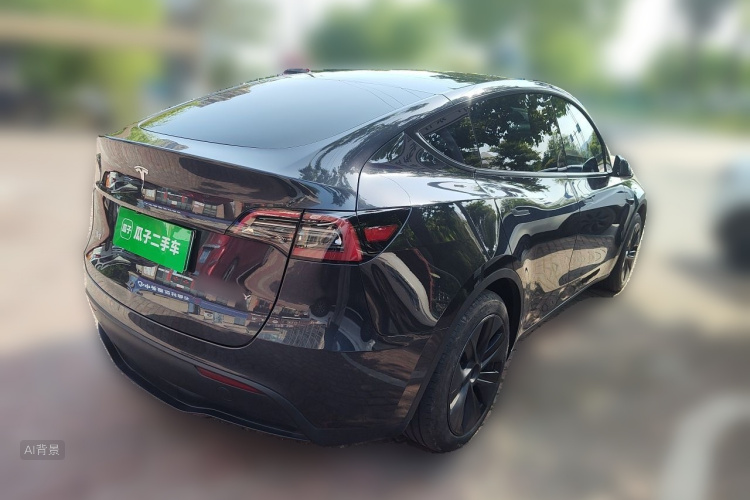 Tesla Model Y 2024 car image #7