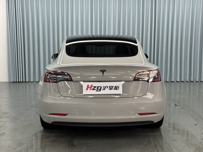 Tesla Model 3 2021 #7 Tesla Model 3 2021 car image #7