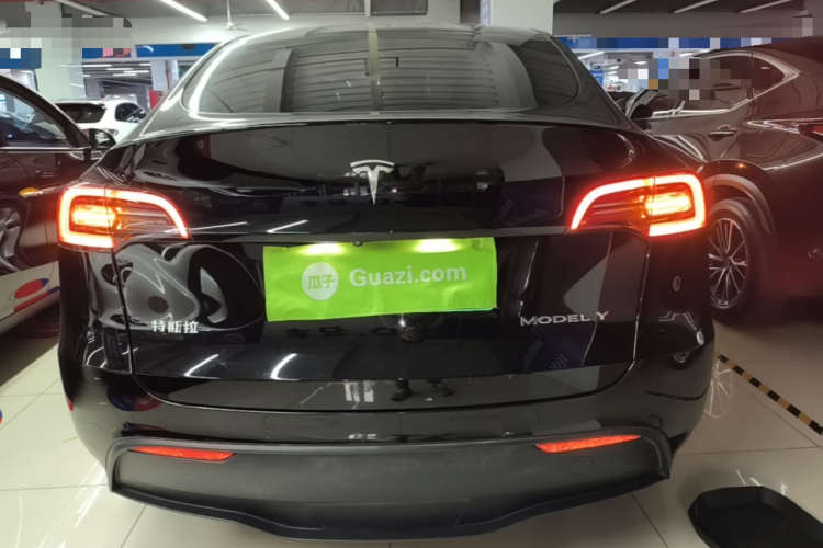 Tesla Model Y 2021 car image #6