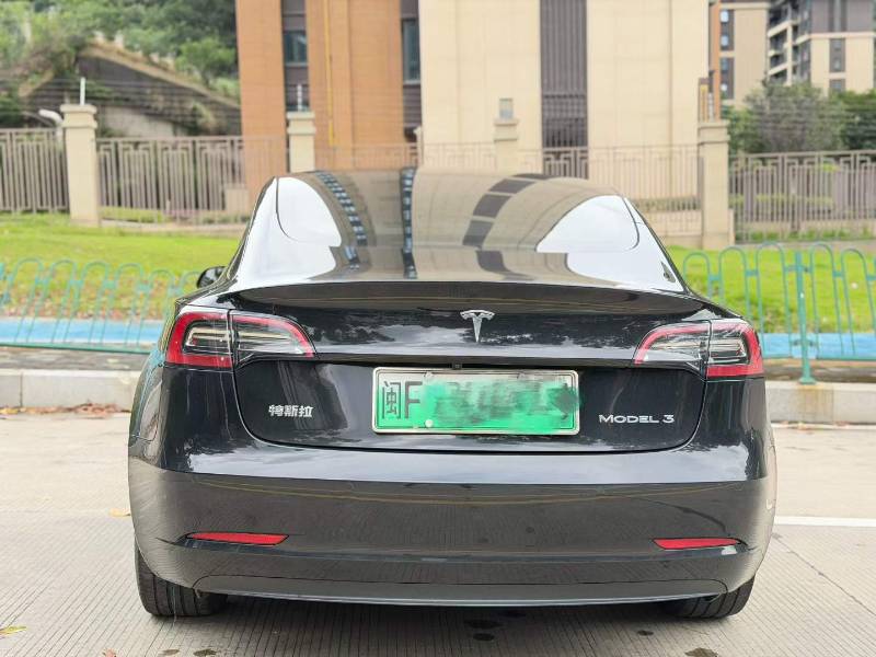 Tesla Model 3 2023 #8 Tesla Model 3 2023 car image #8