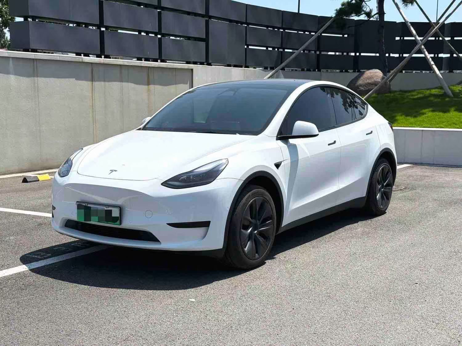 Tesla Model Y 2024 car image 