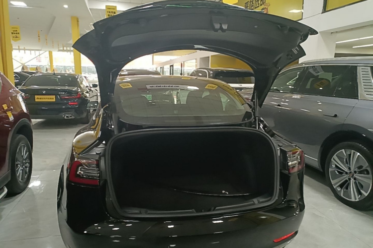 Tesla Model 3 2021 #21 Tesla Model 3 2021 immagine di auto #21