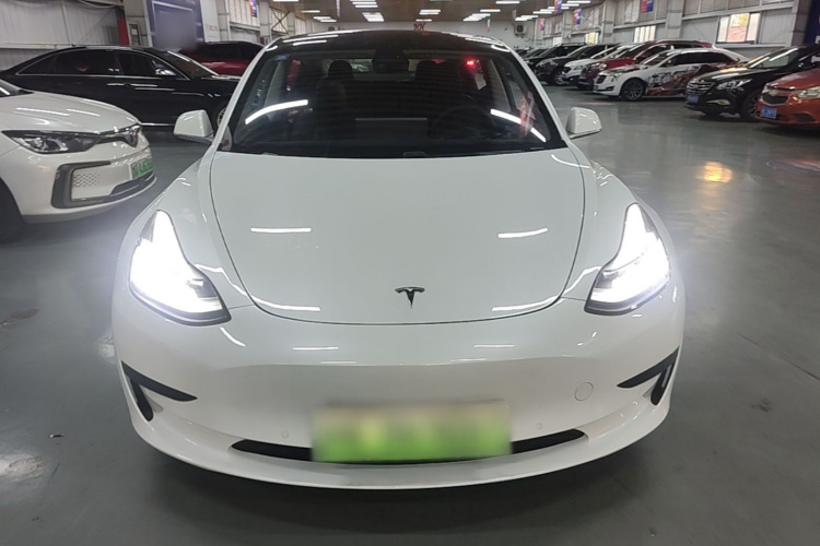 Tesla Model 3 2020 #3 Tesla Model 3 2020 car image #3