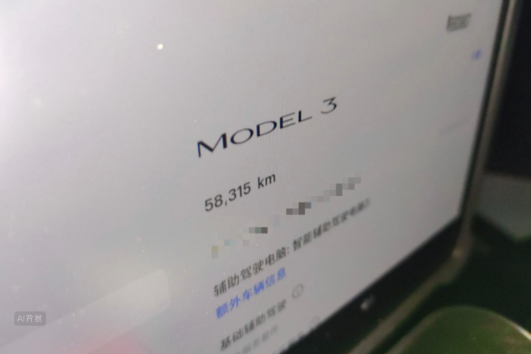 特斯拉 Model 3 2022 汽车图片 #14