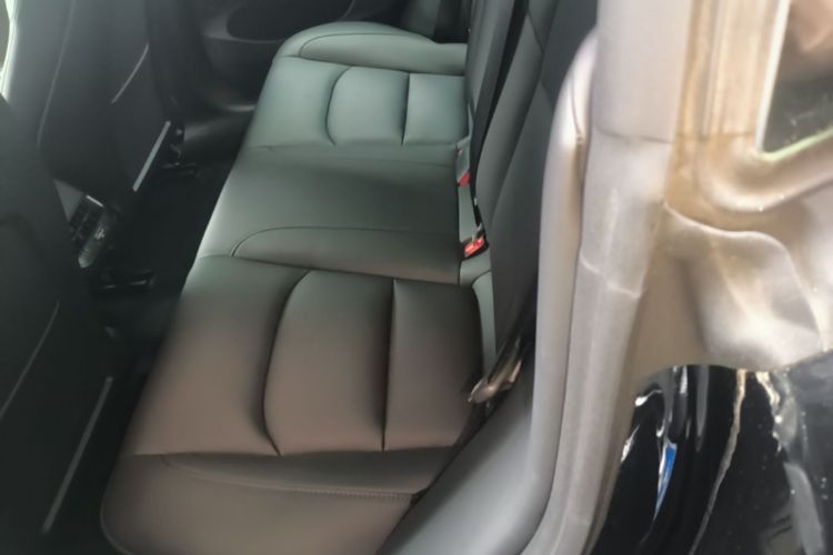 Tesla Model 3 2021 #17 Tesla Model 3 2021 car image #17