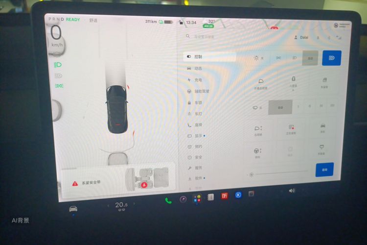Tesla Model Y 2021 car image #13
