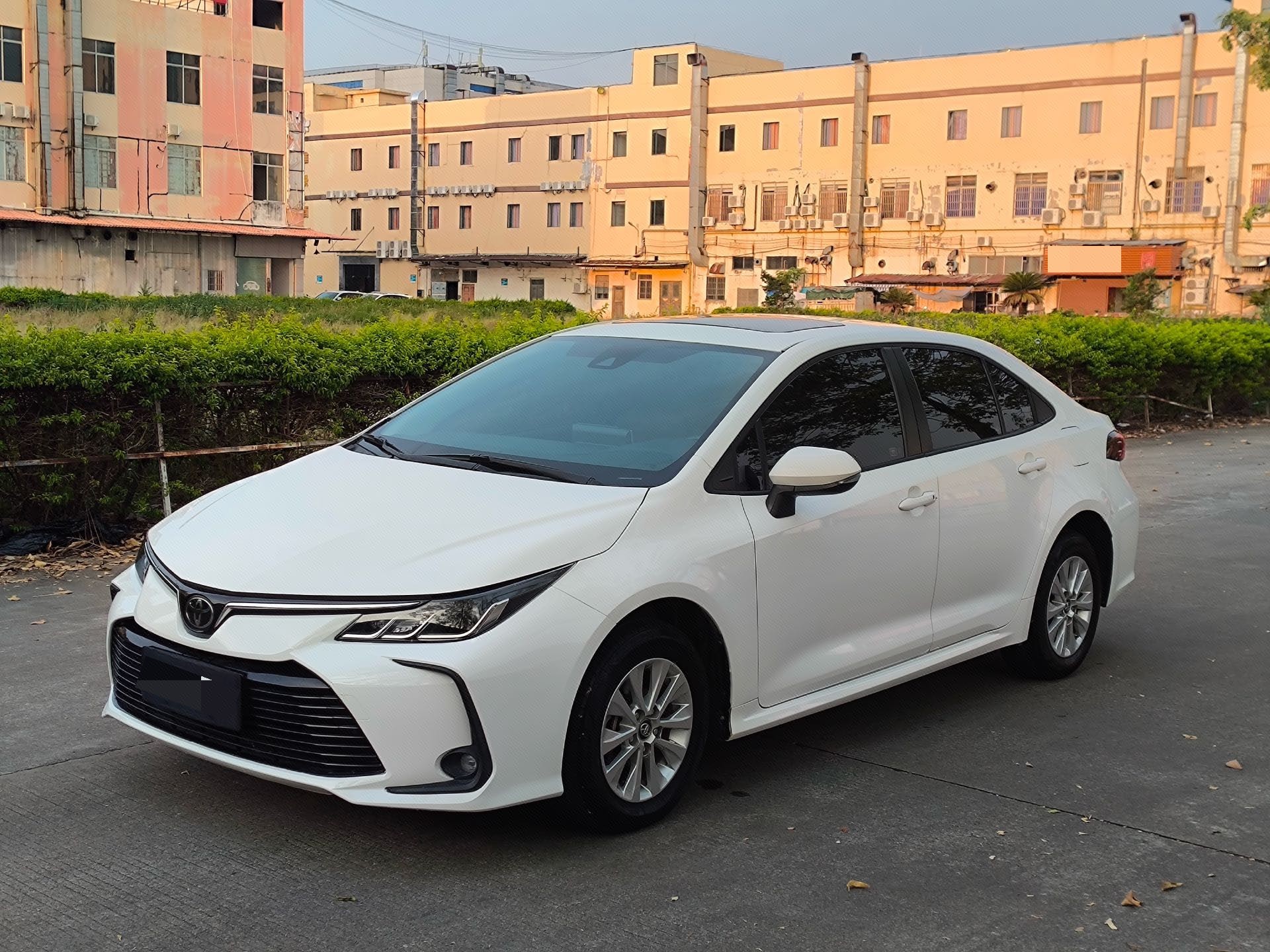 Toyota Corolla 2019 car image 