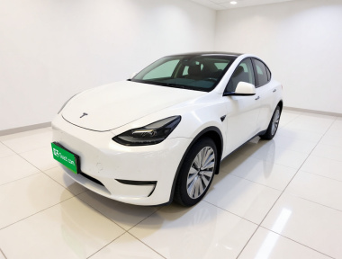 Tesla Model Y 2021 Tesla Model Y 2021 car image