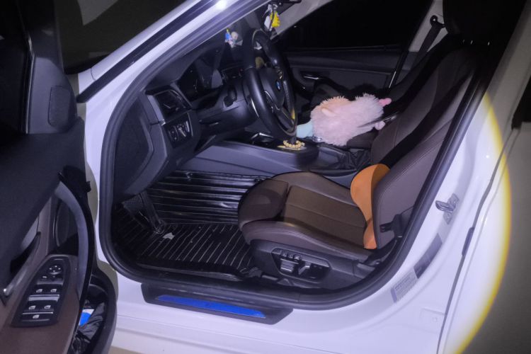 BMW 3 Series 2018 car image #19