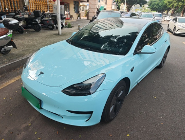 Tesla Model 3 2022 Tesla Model 3 2022 car image