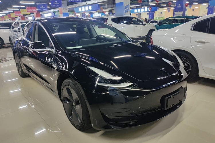 Tesla Model 3 2020 car image #4