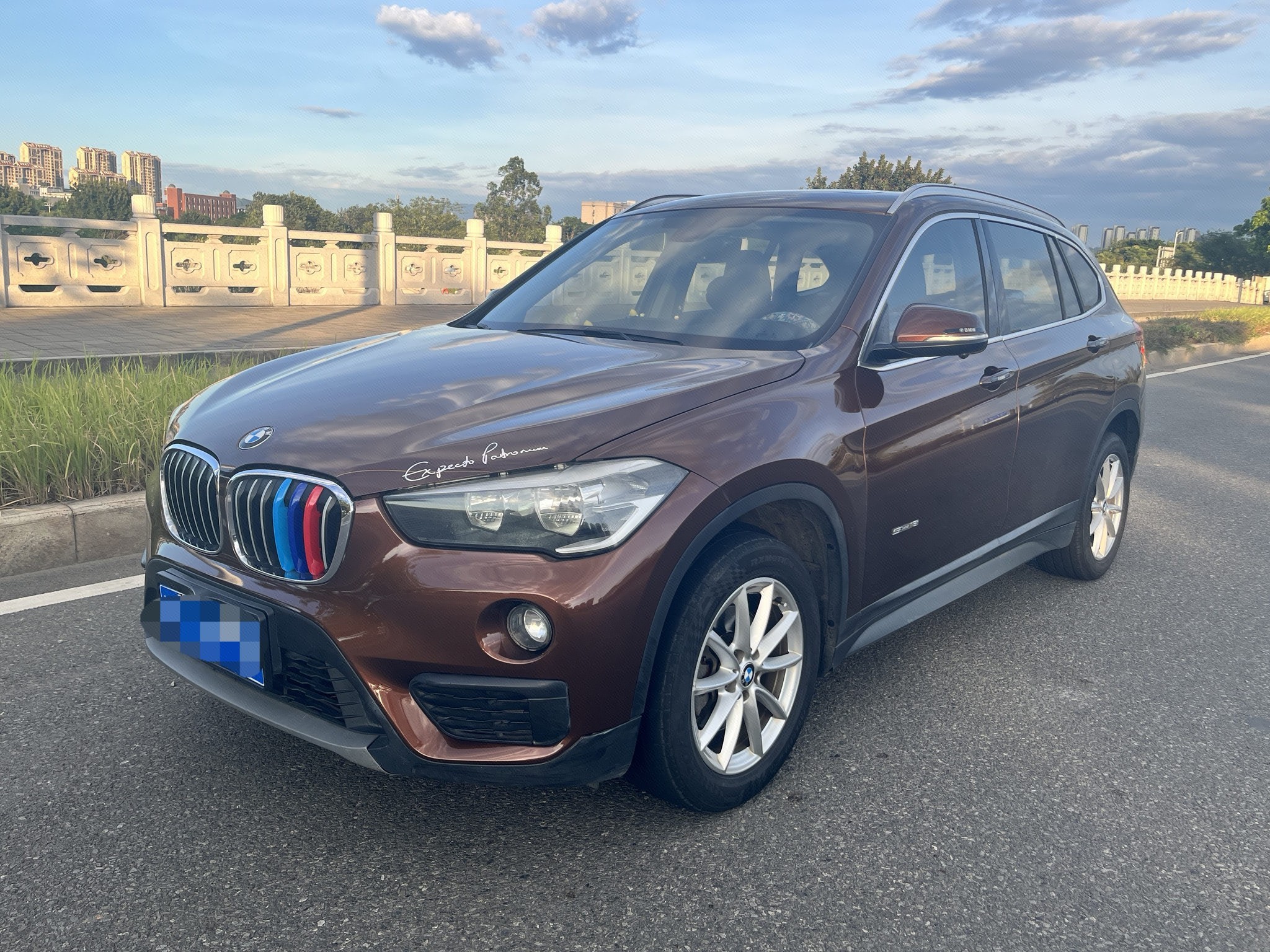 BMW X1 2016 immagine di auto 