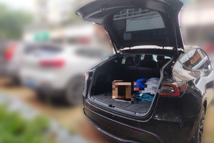 Tesla Model Y 2023 car image #17