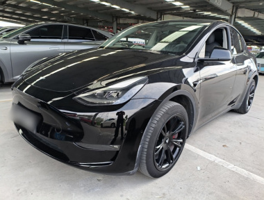 Tesla Model Y 2022 car image 